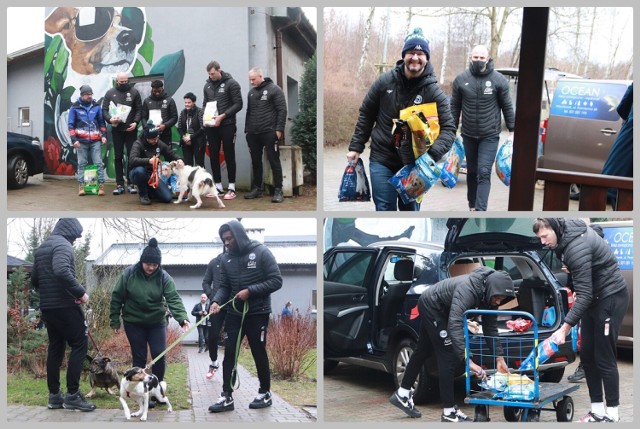 Akcja "KarmaWraca" - koszykarze drużyny Anwil Włocławek przekazują karmę zebraną przez kibiców do schroniska dla zwierząt we Włocławku, 14 stycznia 2022 r.