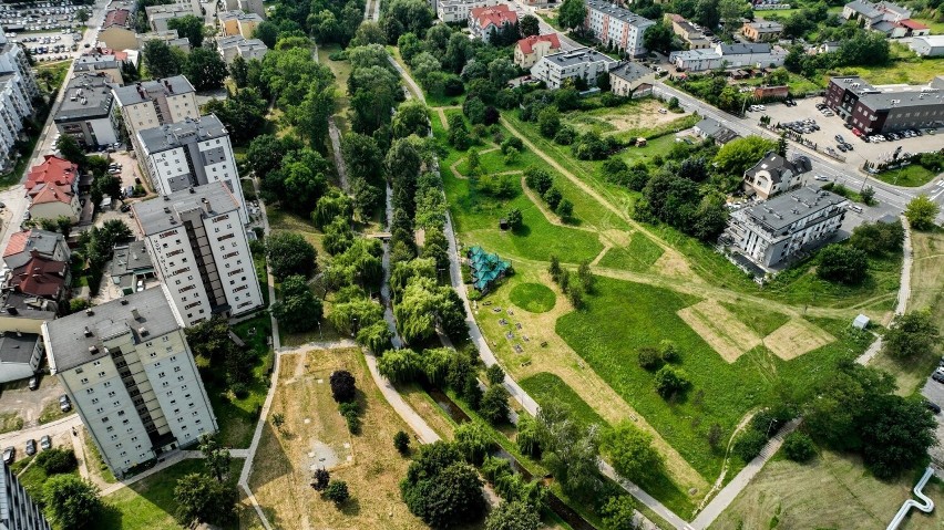 Nietypowe koszenie trawy w Dolinie Silnicy  w Kielcach. Zobacz efekty na zdjęciach