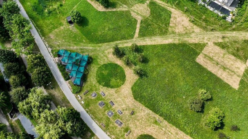 Nietypowe koszenie trawy w Dolinie Silnicy  w Kielcach. Zobacz efekty na zdjęciach