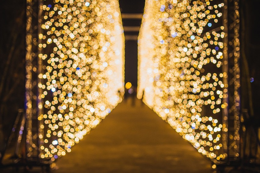 Iluminacje świąteczne w Parku Oliwskim.