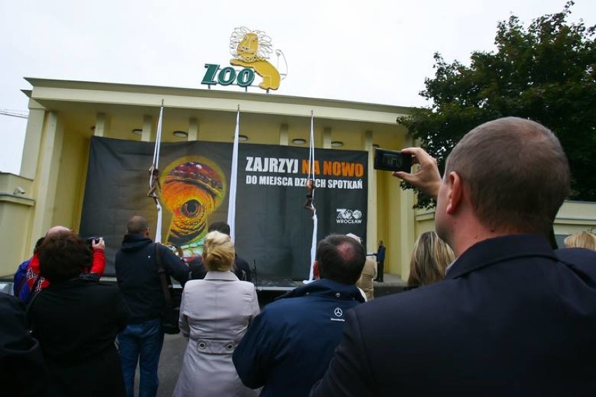 Ze słynnego neonu wrocławskiego zoo zdmuchnęło lwa