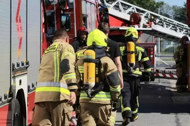 Pożar w Suchym Lesie. Zapaliło się wysypisko śmieci