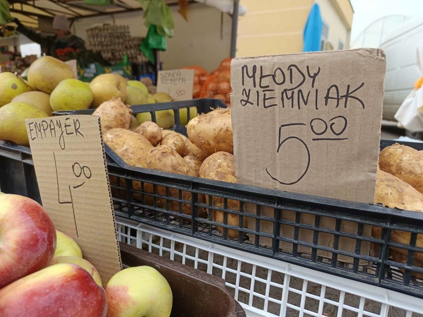 Ceny warzyw i owoców na targu w Koninie. Są już pierwsze młode ziemniaki. Ile za ogórki, borówki i młodą kapustę? 