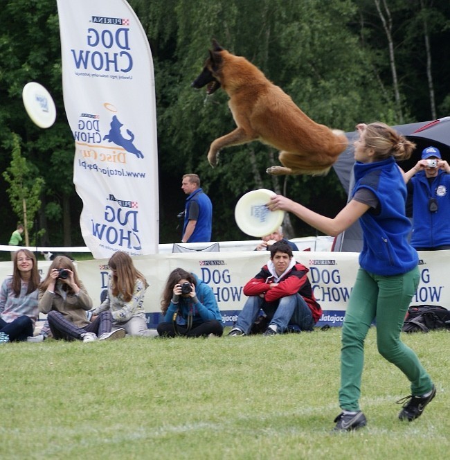 Pokazy freestyle, superdogs.