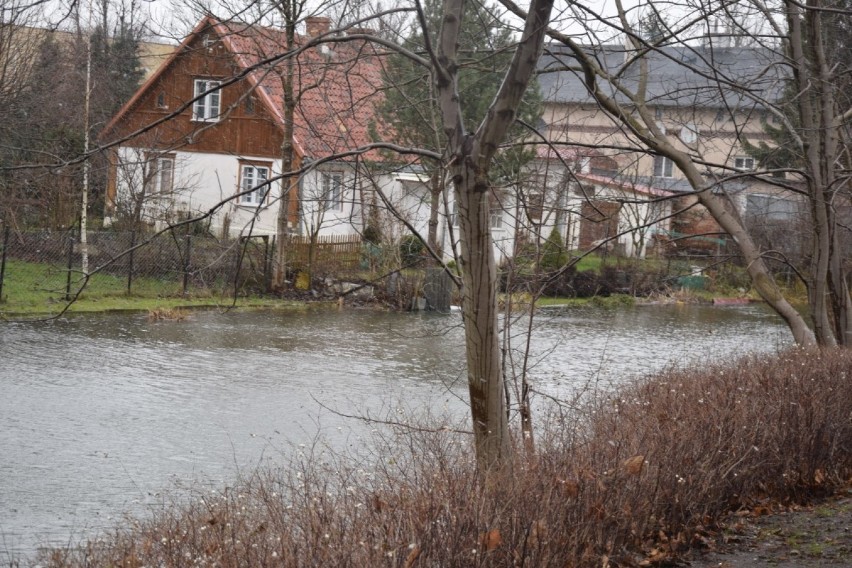 Nowy Dwór Gdański. Podnosi się poziom wody w rzece Tudze [ZDJĘCIA]