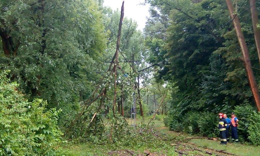 Kraków. Po burzy zerwana sieć trakcyjna. Nie kursowały tramwaje [AKTUALIZACJA]