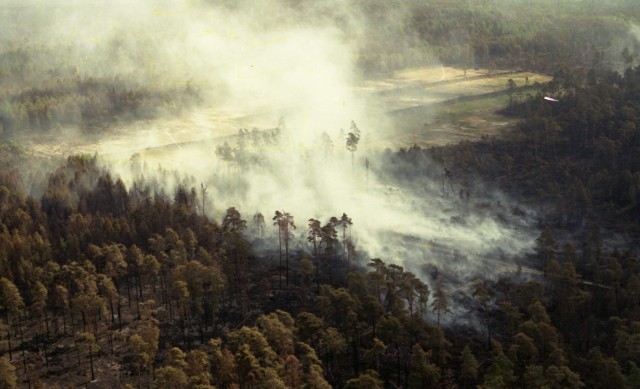 25 lat po pożarze wszechczasów nasze lasy są lepiej chronione. Ale ryzyko zawsze istnieje...