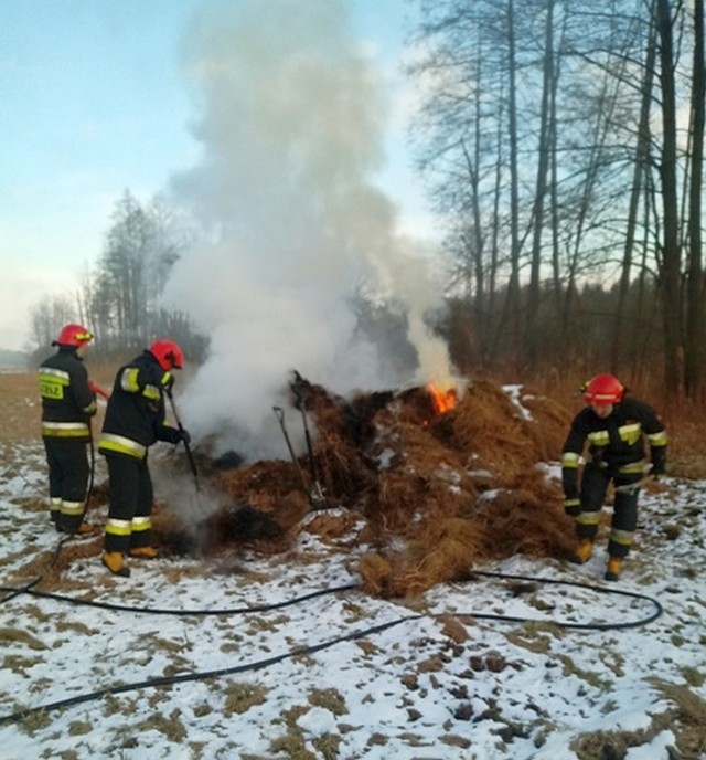W Nadleśnictwie Hajnówka spłonęły brogi siana przeznaczone dla żubrów. Według strażaków było to podpalenie. Sprawę wyjaśnia policja.