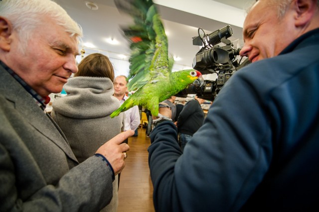 Wystawa ptaków egzotycznych na Ochocie. Kanarki, papugi i amadyny [ZDJĘCIA]