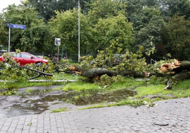 W porywach do 79 km/h wiadło w Szczecinie podczas poniedziałkowej burzy
