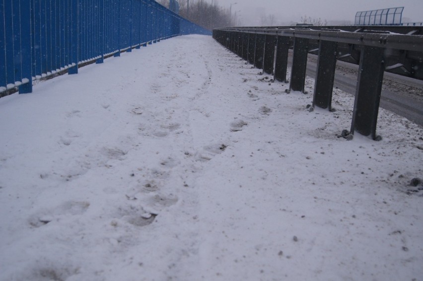 Zima w Radomsku [styczeń 2019]