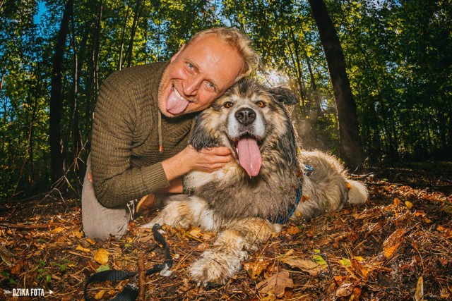Na zdjęciach prezentują się psi modele ze Schroniska dla Bezdomnych Zwierząt w Skierniewicach