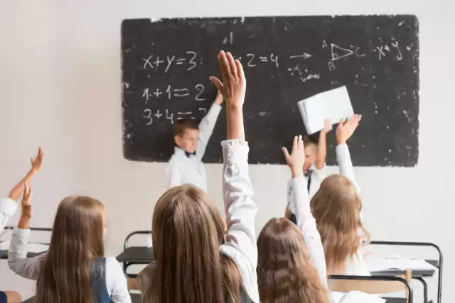 Opublikowano Ogólnopolski ranking szkół podstawowych 2024. Które placówki okazały się najlepsze? Sprawdzamy.