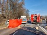 Śmiertelny wypadek na DK88 w Zabrzu. Peugeot najechał na tył ciężarówki. Nie żyje 23-latek