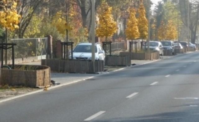 Specjalne maty mają ochronić przydrożną zieleń przed szkodliwym ...