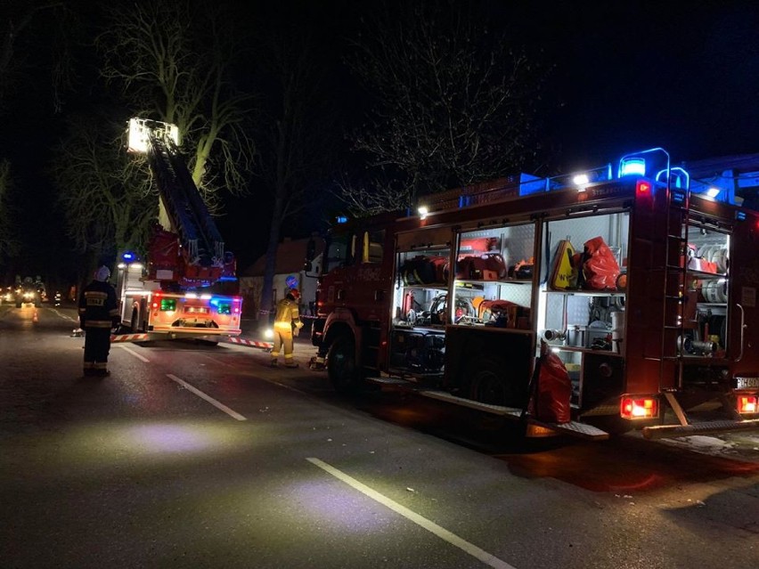 OSP w Szamocinie gasiła nietypowy pożar. Na ulicy Marcinkowskiego paliło się drzewo (ZDJĘCIA)