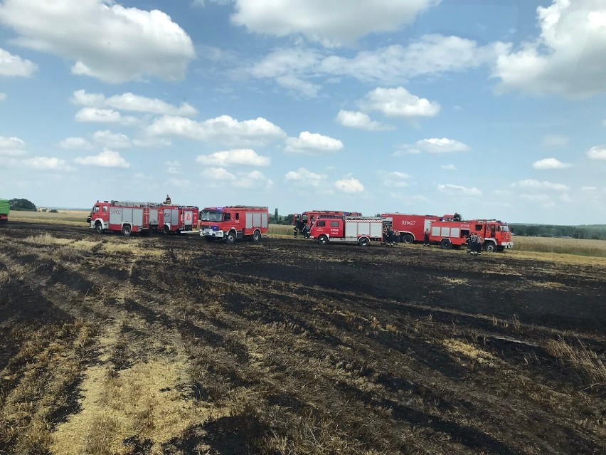 Pożar na polu w Raciborowicach, 17.07.2021