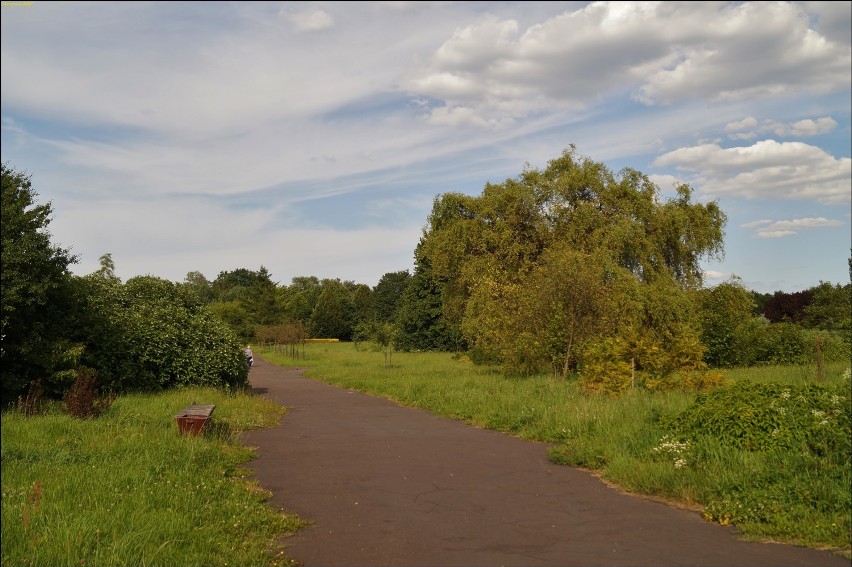 Pierwszy dzień lata w Łodzi. Ogród botaniczny na zdjęciach