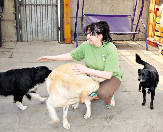 Szefowa zgierskiego schroniska podkreśla, że czarną listę umieściła w internecie dla dobra zwierząt.
