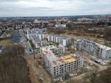 Trwa budowa osiedla Idea na Wacynie w Radomiu. To największe nowe osiedle miasta. Zobacz zjawiskowe zdjęcia z drona