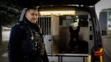 Pomorscy policjanci otrzymali nowe radiowozy przystosowane do transportu psów | zDJĘCIA