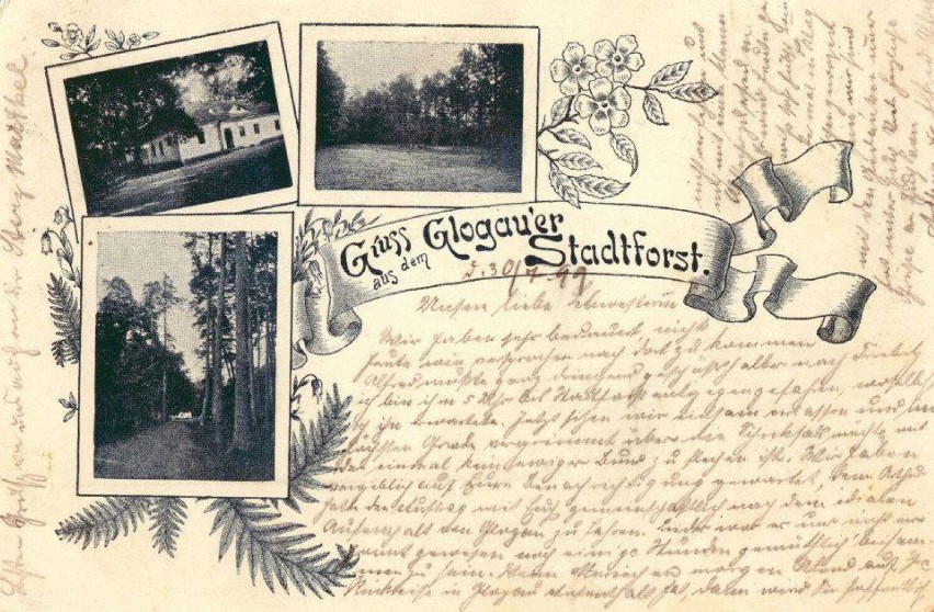 Lata 1898-1900 , Pozdrowienia z Leśnej Doliny