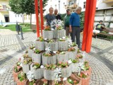 Akcję „Kwiatów Moc" przeprowadzono w Pasażu Okrężnym w Wałbrzychu