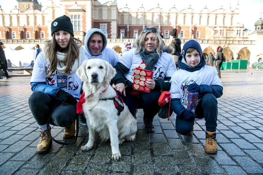 WOŚP 2018 w Krakowie. Golden retrievery kwestowały na Rynku Głównym [ZDJĘCIA]