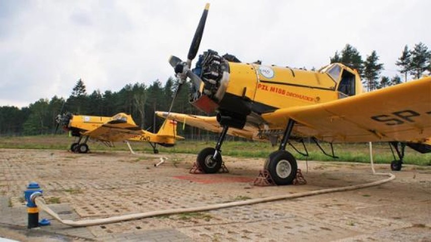 Pilot patrolowej Cessny zauważył pożar lasu w Nadleśnictwie Myszyniec [ZDJĘCIA]