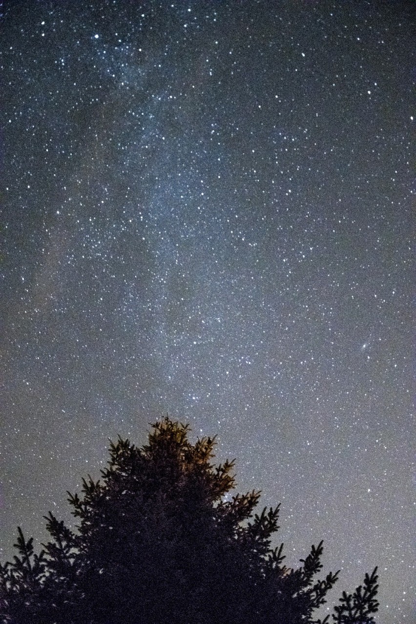 Noc Perseidów 2018 - spadające gwiazdy i Droga Mleczna na zdjęciach! GALERIA