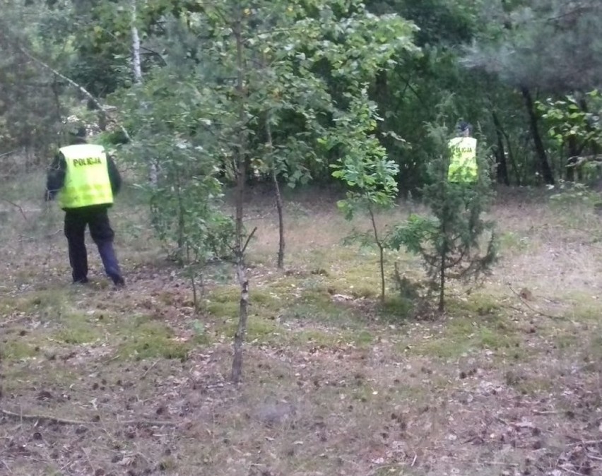 Kilkudziesięciu policjantów i strażaków poszukiwało w nocy 55-latki, która zgubiła się w lesie w Dzietrznikach