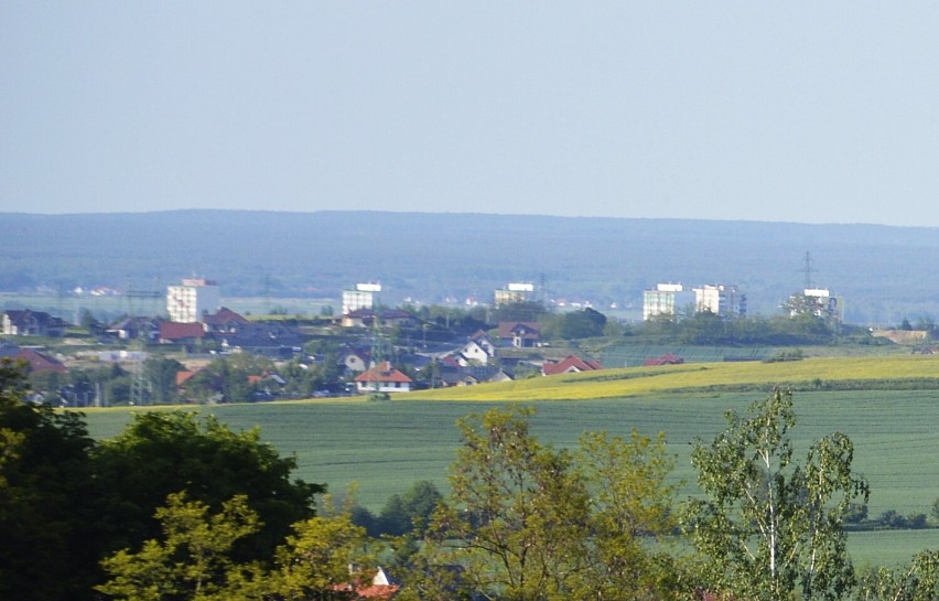 Widok na Głogów z okolic Maniowa