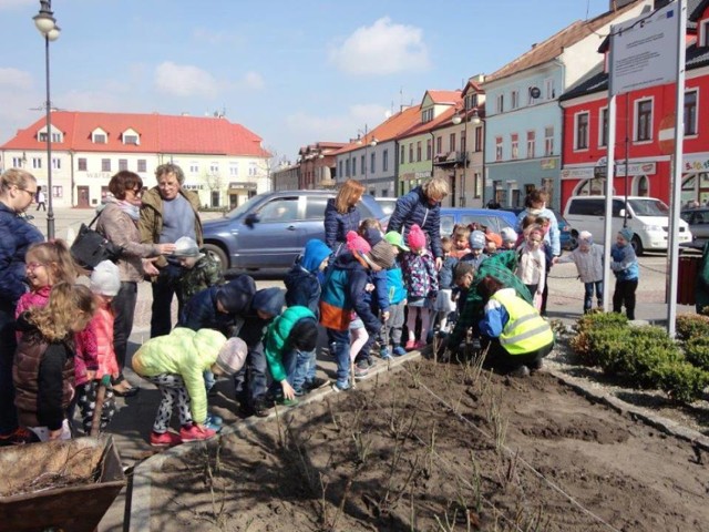 Łęczyckie przedszkolaki pomagały sadzić róże