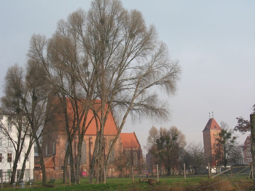 Przez dziesiątki lat po zniszczeniach wojennych na miejscu...