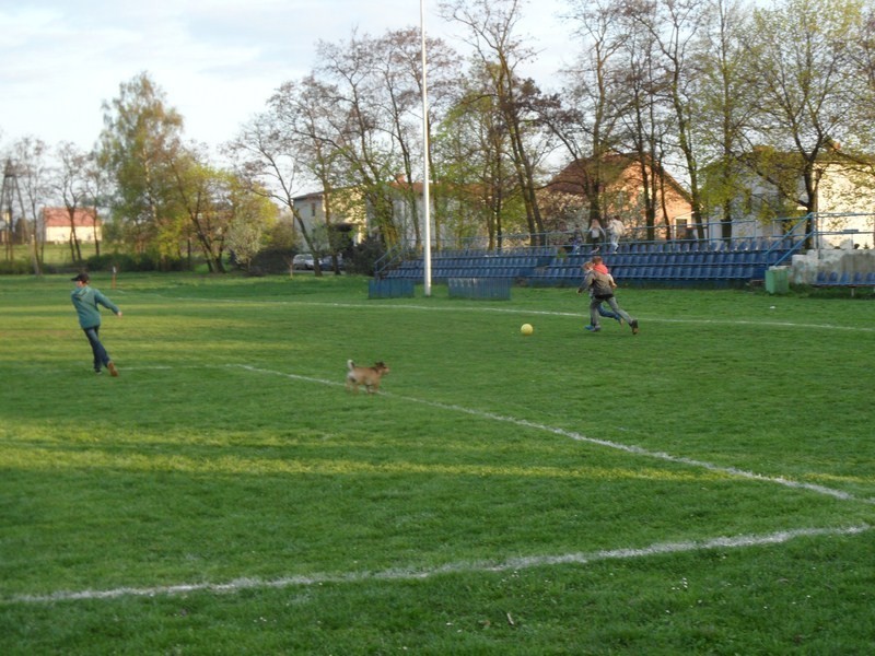 Dziś drugi dzień majówki na sportowo w Kochanowicach. Zobaczcie, co działo się wczoraj