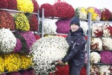Gdzie kupić kwiaty i znicze na Wszystkich Świętych? Poznaj ceny ze Śląskiej Giełdy Kwiatowej - ZDJĘCIA