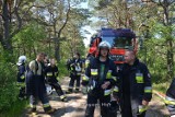 Pożar lasu w Białogórze? Spokojnie, to tylko ćwiczenia: strażacy z powiatu puckiego gotowi do walki z żywiołem | ZDJĘCIA