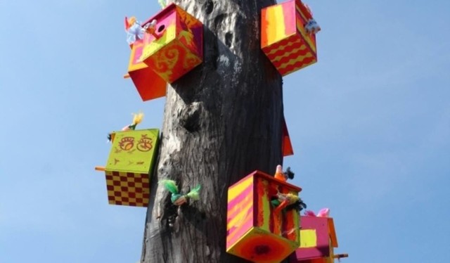 Lipa w Redzie, zgłoszona do konkursu Drzewo Roku. Karmniki wykonały dzieci w ramach projektu domu kultury w Redzie