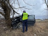 Poważny wypadek w Zalesiu w gminie Brusy. Samochód uderzył w drzewo, 3 osoby trafiły do szpitala