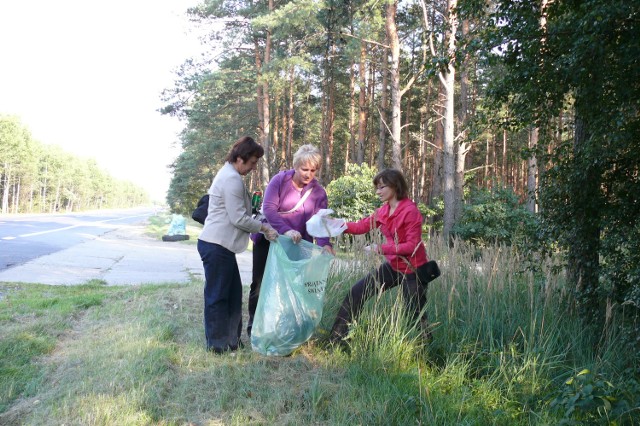 Urzędnicy sprzątali lasy wzdłuż drogi krajowej nr 8