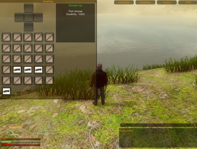 screen z gry Edengrad