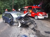 Wypadek w Nowej Karczmie. Kierujący fordem uderzył w drzewo. Jedna osoba jest ranna