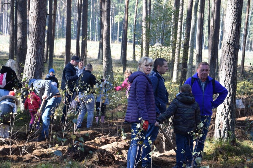 Już po raz 20. w Szczecinku i okolicach przeprowadzono akcję Kronodrzewko [zdjęcia]