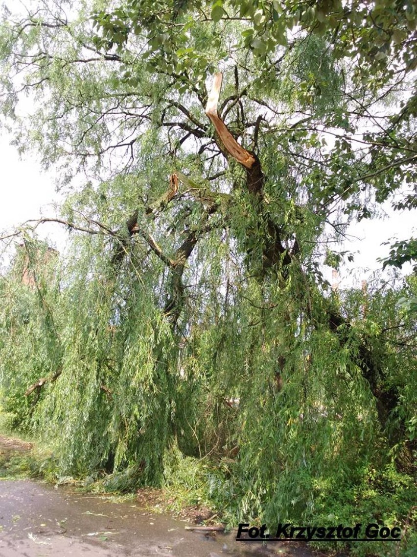 Krajobraz po nawałnicach w powiecie: powalone drzewa na drogach, piorun uderzył w kościół w Niegowie