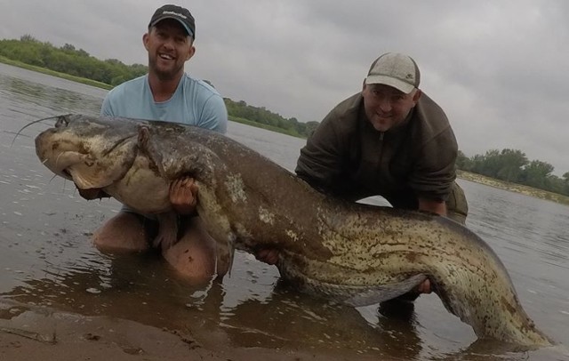 Bartłomiej Och i Damian Janas członkowie Koła Wędkarskiego 122 Anwil SA złowili w Wiśle we Włocławku suma o długości 246 cm!