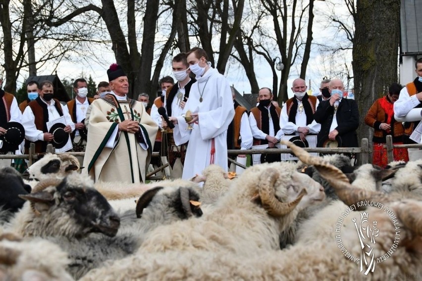 Ludźmierz. Święto bacowskie na początek sezonu wypasu owiec [ZDJĘCIA]