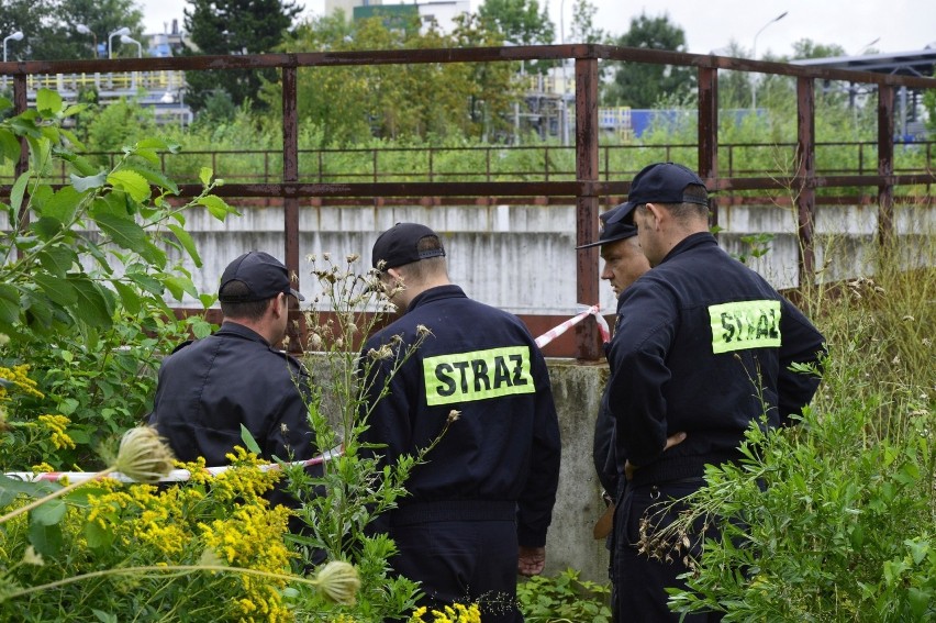 Mafia śmieciowa zarobiła miliony, a Gorlice czekają na eksplozję