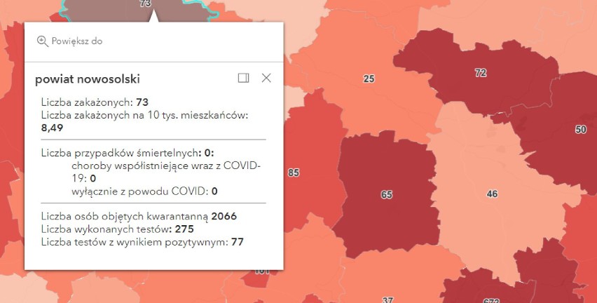 Na szczęście nie ma przypadków zgonów osób zakażonych...