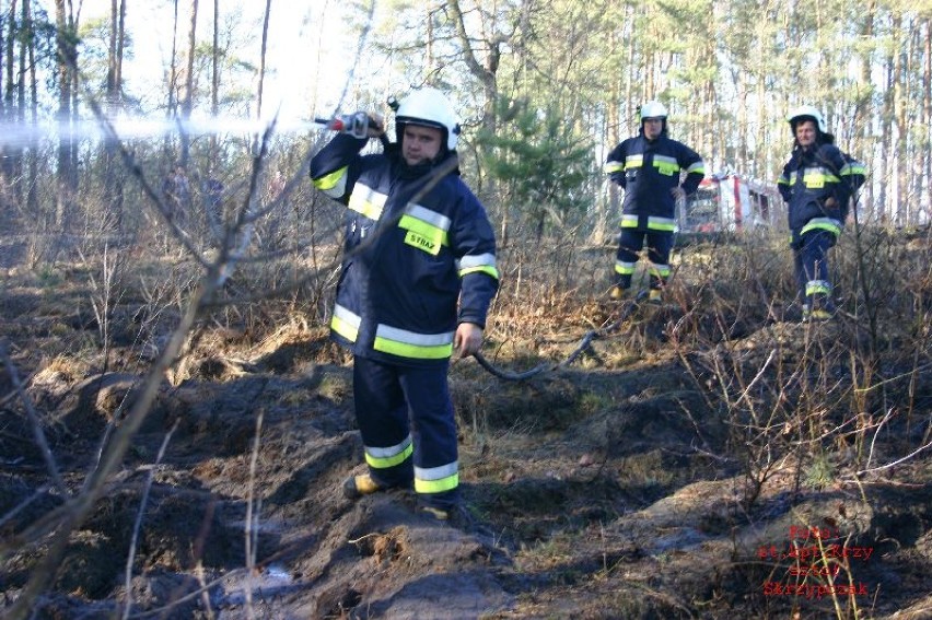 Strażacy z dwóch województw gasili wczoraj (13 marca) pożar...