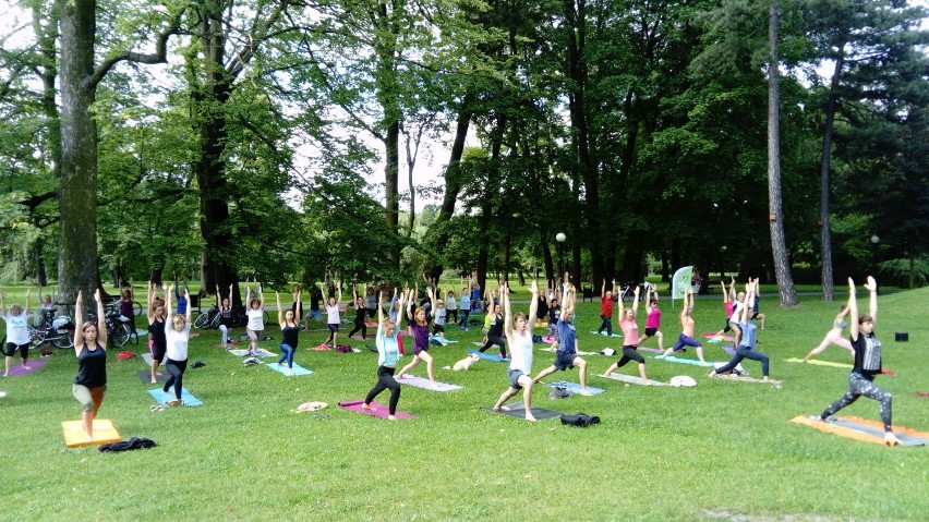 Joga w Parku

Zielona Łódź zaprasza na kolejne zajęcia z...